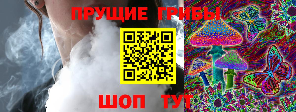 цена наркотик  Псилоцибиновые грибы Psilocybe  Елец  Вход с VPN  Псилоцибиновые грибы ЛСД 